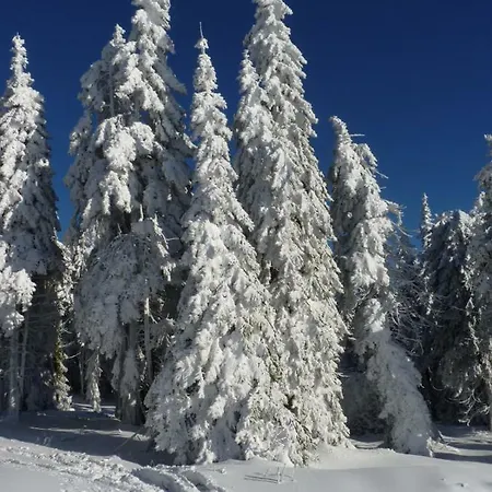 아파트호텔 Skiresort Pec Poustevnik 4*