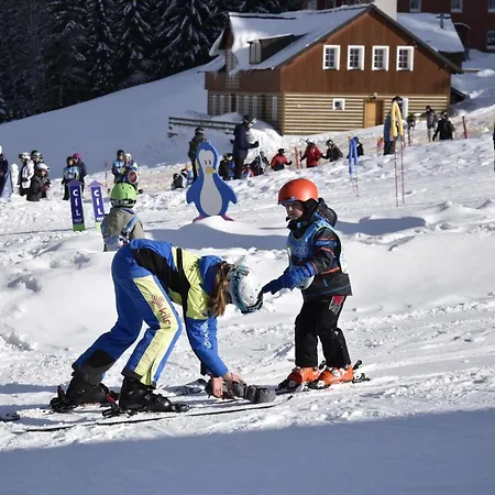 Ξενοδοχείο με διαμερίσματα Skiresort Pec Poustevnik