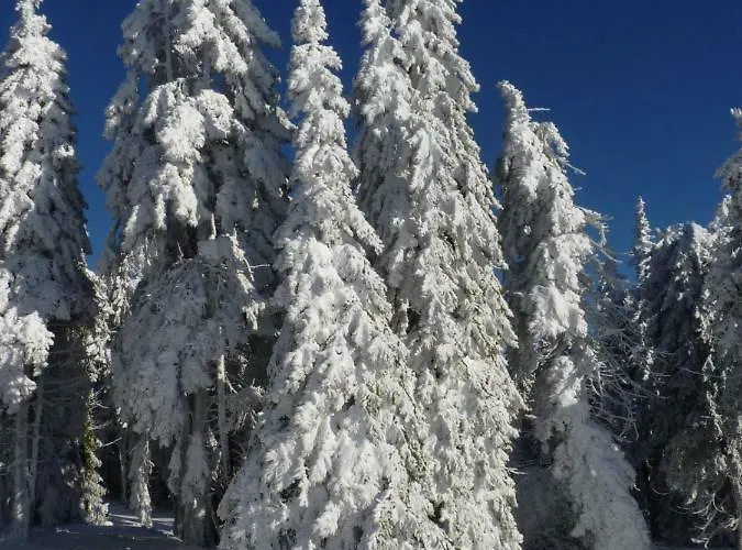 Aparthotel Skiresort Pec Poustevnik 4*