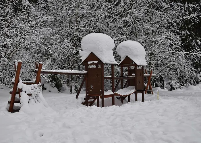 Skiresort Pec Poustevnik Апарт-отель 4*